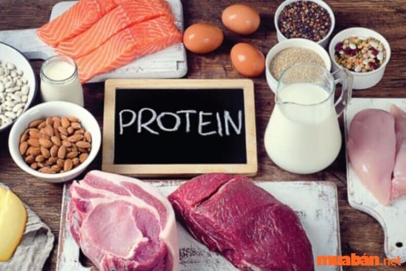 Thực phẩm giàu protein giúp giảm cảm giác thèm ăn