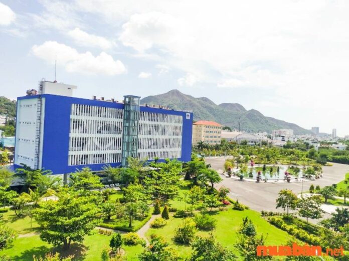 Điểm chuẩn đại học Thái Bình Dương năm 2022 chính xác nhất