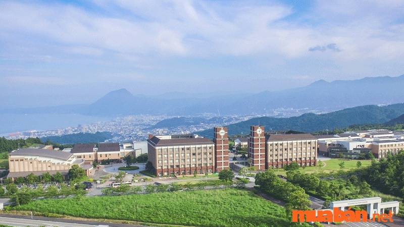 Điểm chuẩn đại học Thái Bình Dương năm 2022 chính xác nhất 3 Điểm chuẩn đại học Thái Bình Dương năm 2022 chính xác nhất