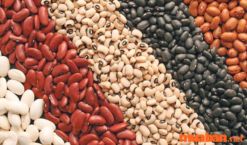 Các loại hạt là thực phẩm phổ biến trong chế độ ăn uống thô