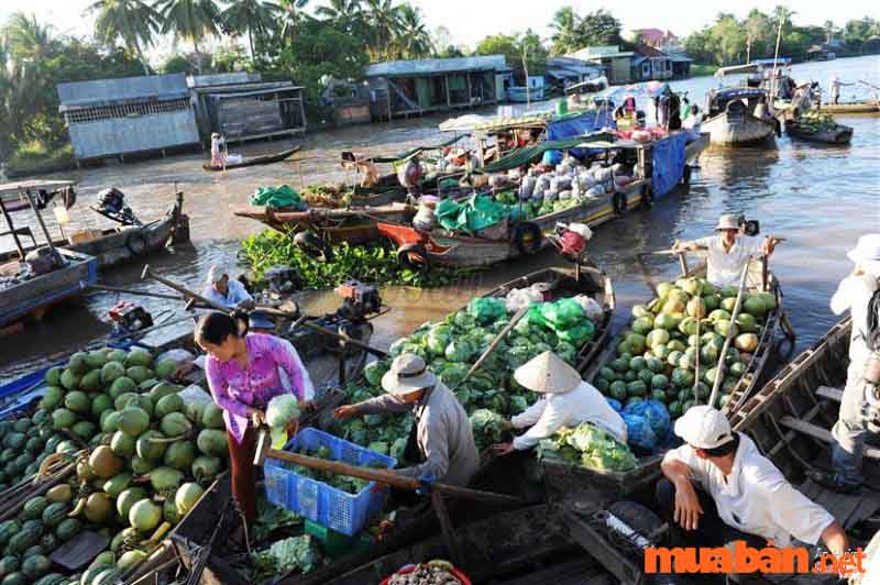 chợ nổi miền Tây