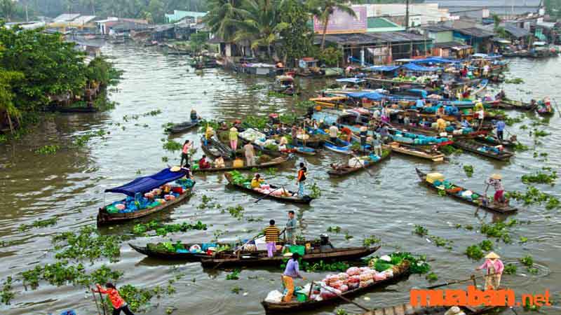 chợ nổi miền Tây