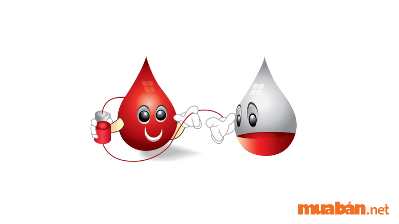 Hiến máu nhân đạo là "động lực" cho quá trình sản sinh và tái tạo máu mới. Sau quá trình hiến máu, cơ thể vừa mất đi một lượng máu nhất định, bởi vậy cơ thể sẽ tự sản sinh các hoạt động để tiến hành bổ sung lượng máu đã mất. Điều này kích thích các tế bào máu mới luân phiên nhau duy trì cho bạn một cơ thể khỏe mạnh. 