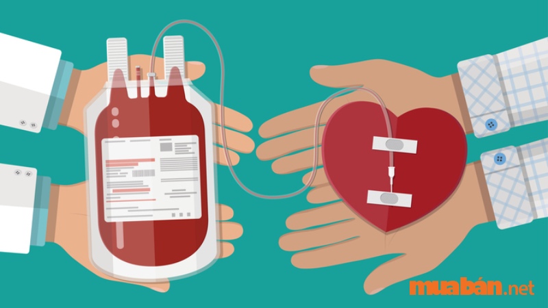 Nhiều nhà khoa học đã tiến hành nghiên cứu về xã hội, tâm lý và khẳng định rằng: việc hiến máu giúp người cho máu có tâm lý và tinh thần tốt, cơ lợi cho sức khỏe.