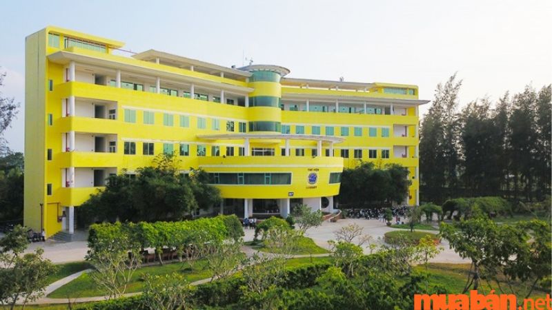Trường Đại học Trà Vinh