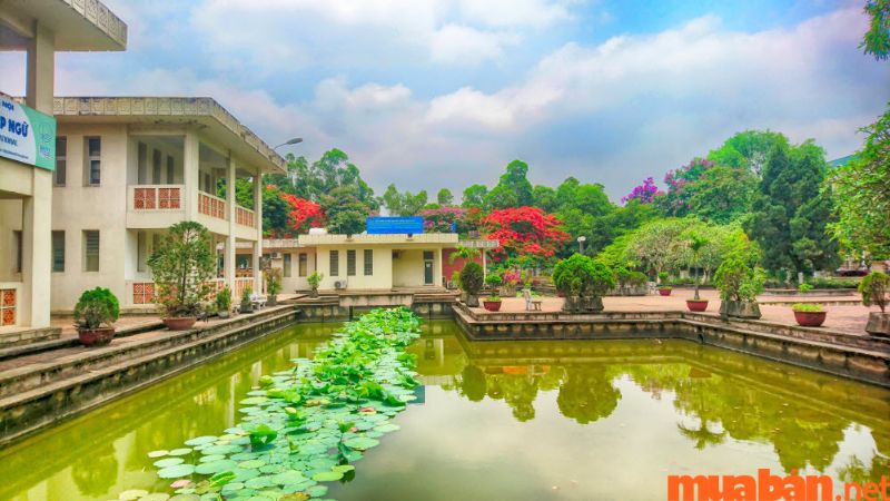 Trường ĐH Ngoại ngữ – Đại học Quốc gia Hà Nội