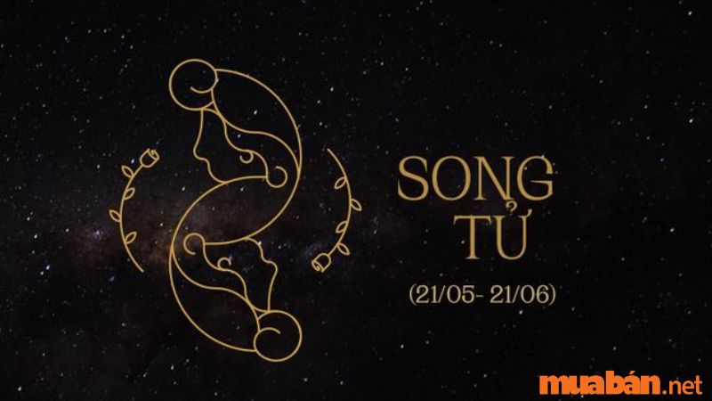 Đôi nét về cung Song Tử