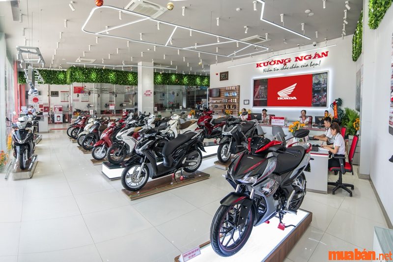xe số đáng mua nhất 2022
