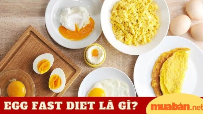 Chế độ ăn Egg fast diet là gì?