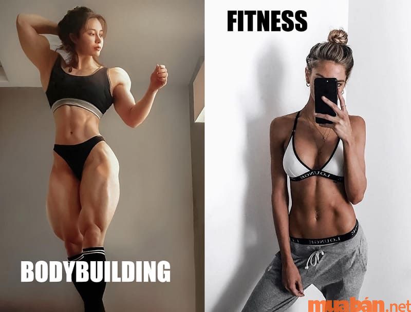 Bodybuilding là gì?