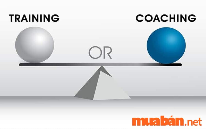 So sánh sự khác nhau giữa Coaching và Training