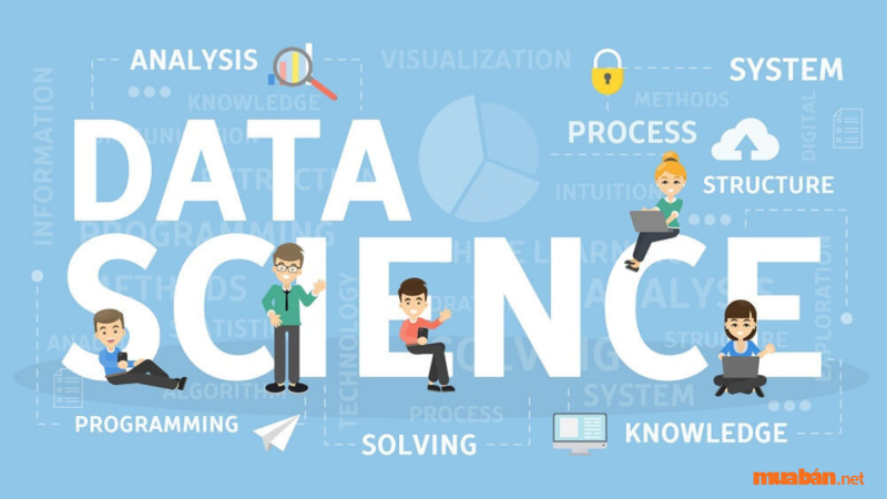 Những yếu tố cần có trong ngành khoa học dữ liệu