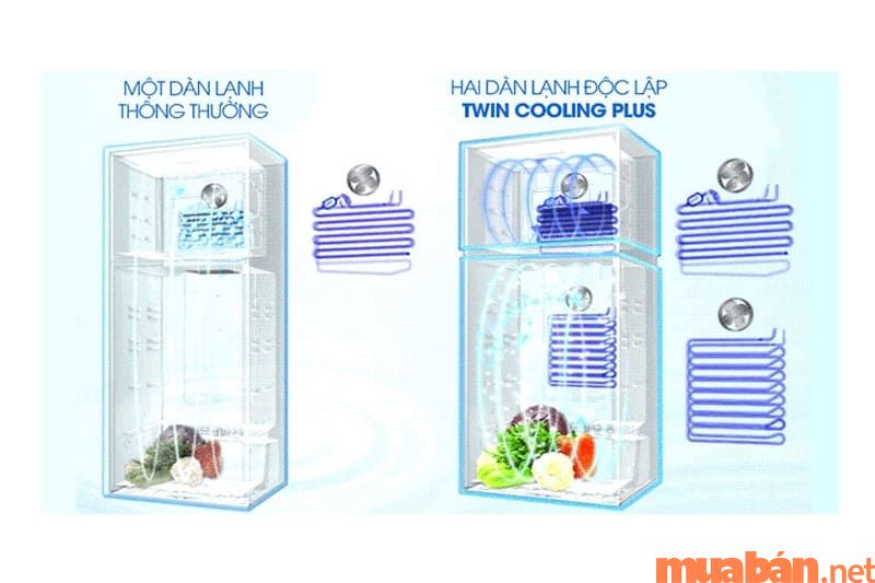 Tủ lạnh Aqua có tốt không