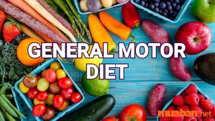 Gm diet hay còn gọi là Genaral Motor diet