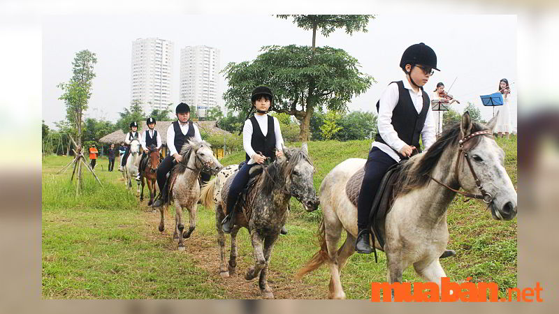 CLB Hanoi Horse