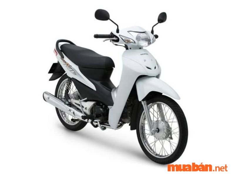 xe 50cc bao nhiêu mã lực