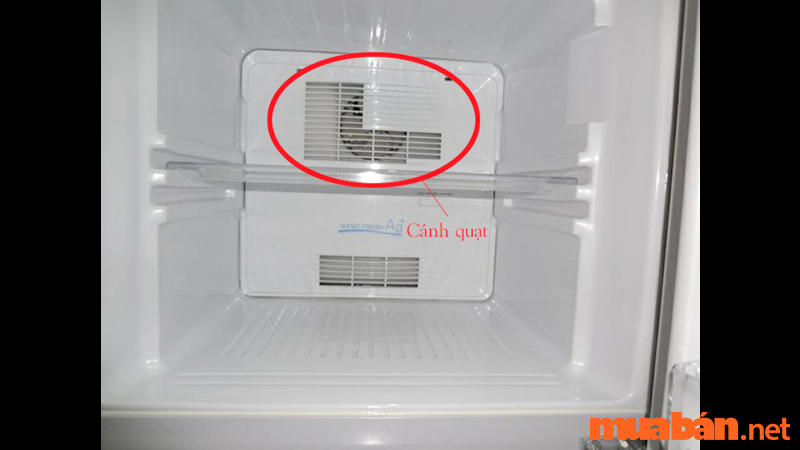 tủ lạnh kêu to