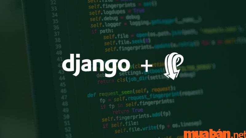 Web Application Framework: Django.