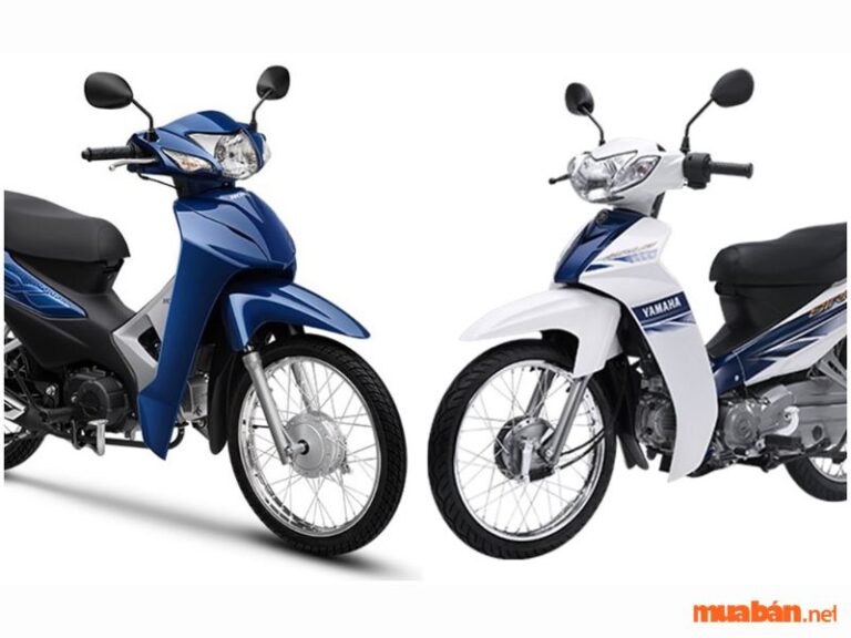 So sánh Wave Alpha và Sirius – Đâu mới là lựa chọn tối ưu cho người tiêu dùng?