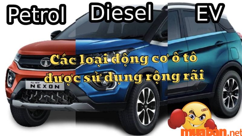 Các loại động cơ ô tô được sử dụng rộng rãi: xăng, điện, diesel.