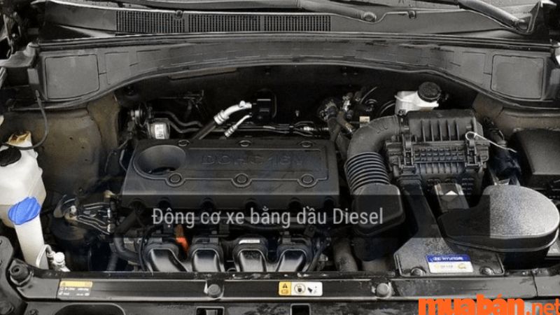 Động cơ ô tô diesel.