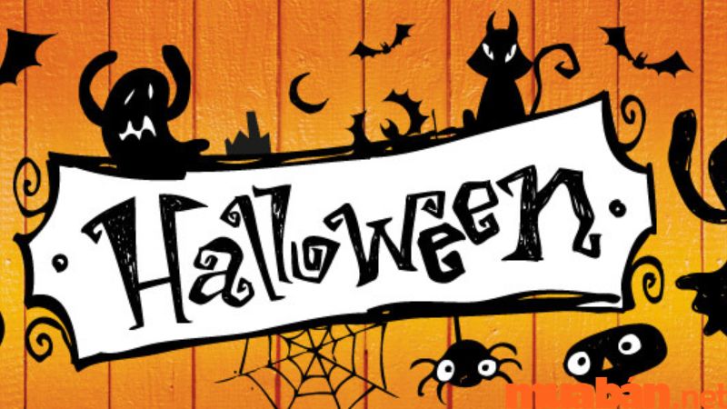 Bật mí 15+ ý tưởng trang trí halloween tại nhà cực đơn giản mà ấn ...