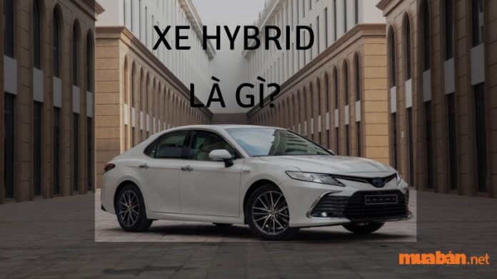 Xe Hybrid hầu như là 1 dòng xe khá xa lạ đối với người dùng ở Việt Nam. Chính vì vậy, Muaban.net sẽ giúp bạn giải đáp thắc mắc về Xe Hybrid là gì? Có các loại động cơ Hybrid thường gặp nào? Ưu, nhược điểm của các loại xe có công nghệ Hybrid được thể hiện cụ thể như bài viết dưới đây.