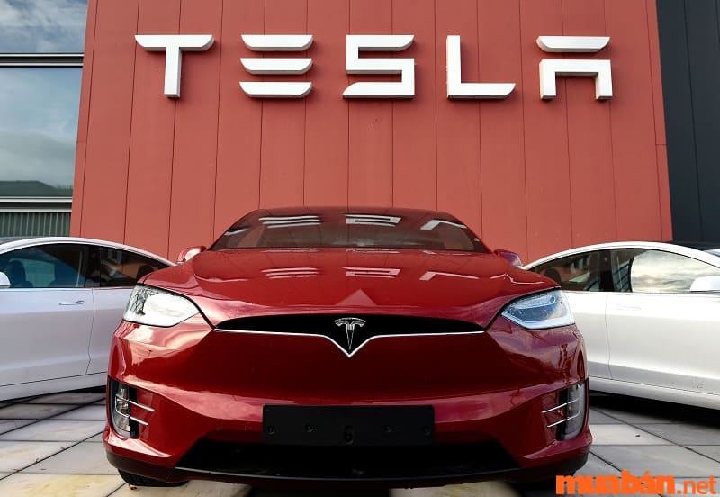 Các dòng xe của thương hiệu Tesla 