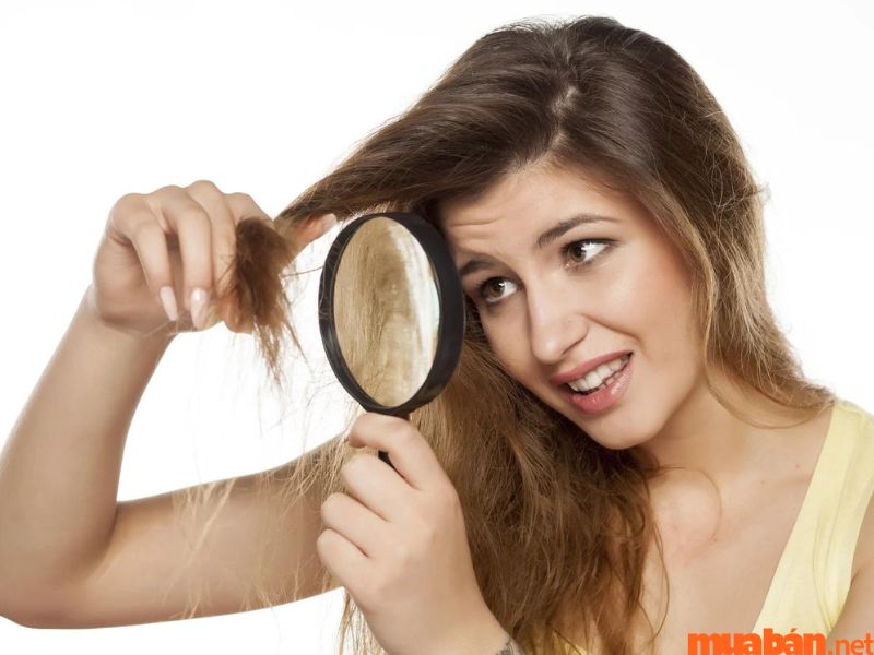 Cách ủ tóc bằng dầu dừa: 13 mặt nạ giúp tóc óng mượt