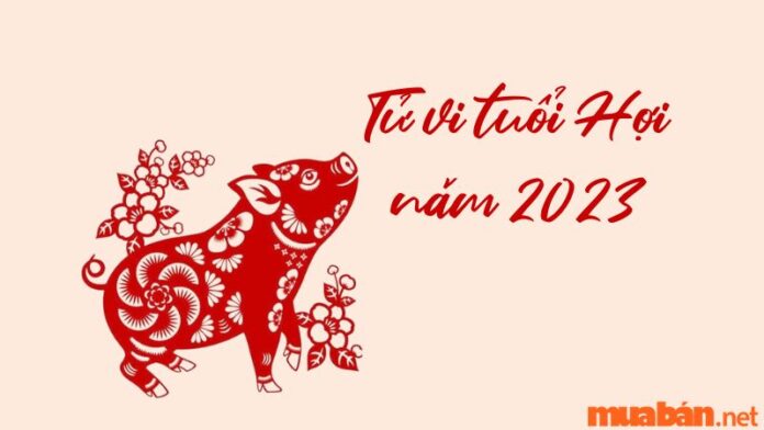 Tử vi tuổi Hợi 2023