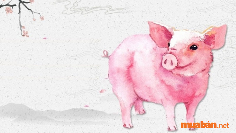 Pig year horoscope 2023 and meaningful tips