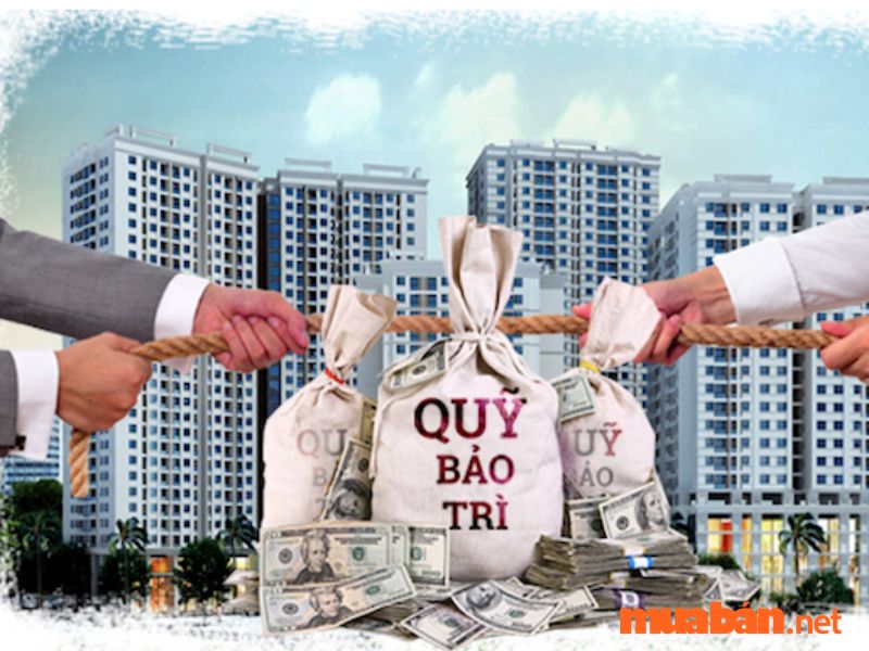 Phí bảo trì nhà chung cư là gì? Cách tính loại phí này 2022 phí bảo trì nhà chung cư là gì