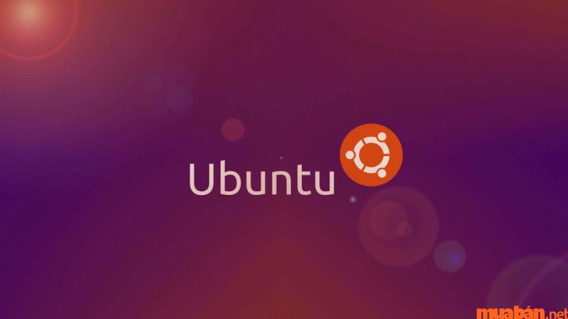 Ubuntu là hệ điều hành gì và sự khác biệt về giao diện