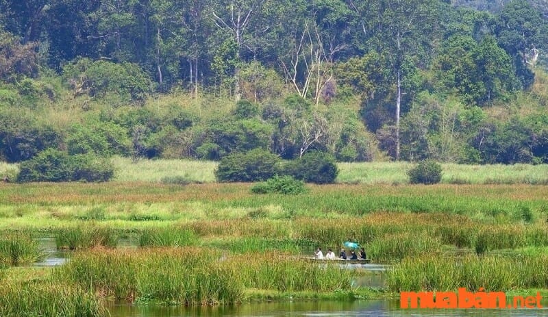 Khám phá Bàu Sấu tại vườn quốc gia Cát Tiên