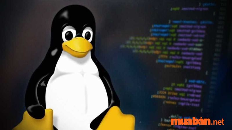 hệ điều hành linux là gì