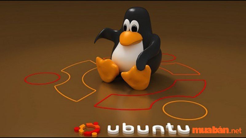 hệ điều hành linux là gì