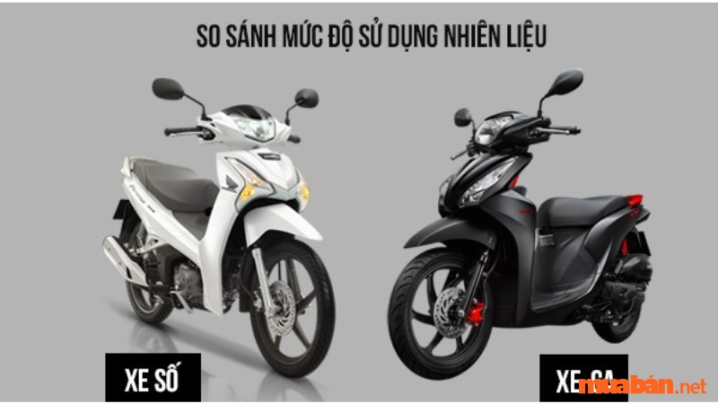 Nên mua xe ga hay xe số