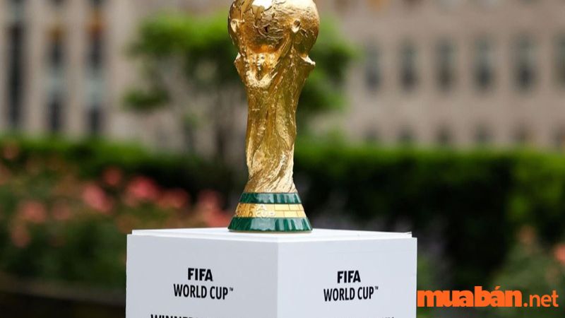 Châu Á có bao nhiêu suất dự world cup 2022