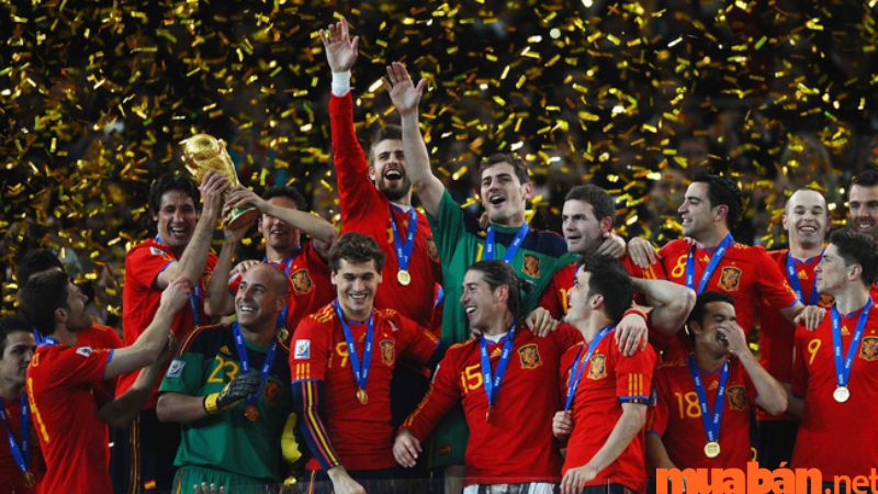 Tây Ban Nha vô địch: 1 lần (năm 2010).