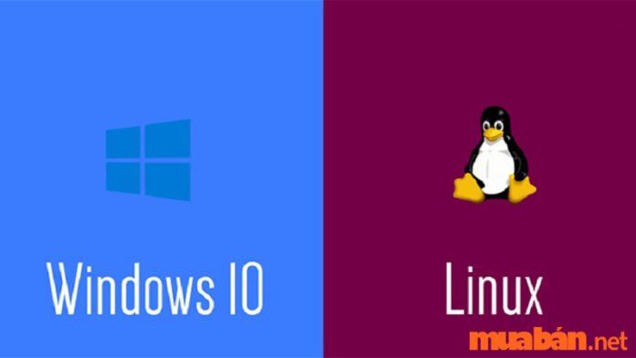 So sánh hệ điều hành windows và linux: Hệ điều hành nào mang sự vượt trội hơn