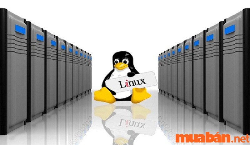 Vài nét về hệ điều hành Linux