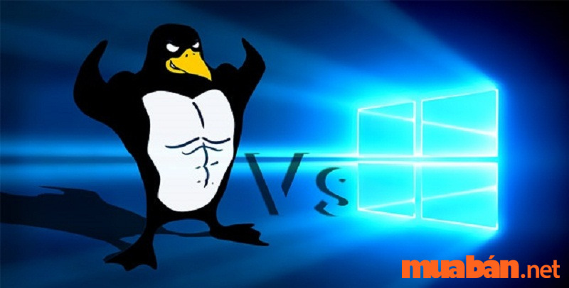 So sánh hệ điều hành windows và linux - Cùng tham khảo ngay