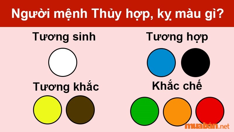 Trong phong thủy, số 66 thuộc hành Thủy. Theo luật tương sinh, thì ý nghĩa số 66 hợp với những người có mệnh Mộc vì Thủy sinh Mộc, tương hỗ với mệnh Thủy. Theo ngũ hành tương khắc, thì ý nghĩa của con số 66 tương khắc với người mệnh Hỏa.