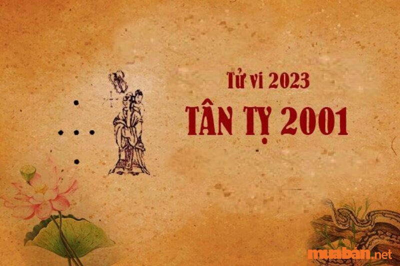 Tử vi tuổi tác Tỵ 2001 - Dự đoán năm 2023 của Tân Tỵ 2001