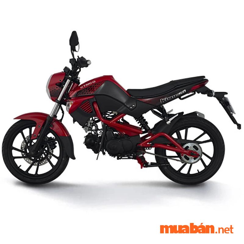 moto 50cc