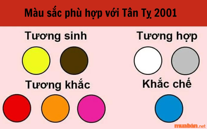 Màu sắc phù hợp với Tân Tỵ 2001