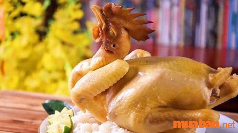 Buộc gà dáng quỳ rất dễ làm và giúp gà cúng trông tự nhiên