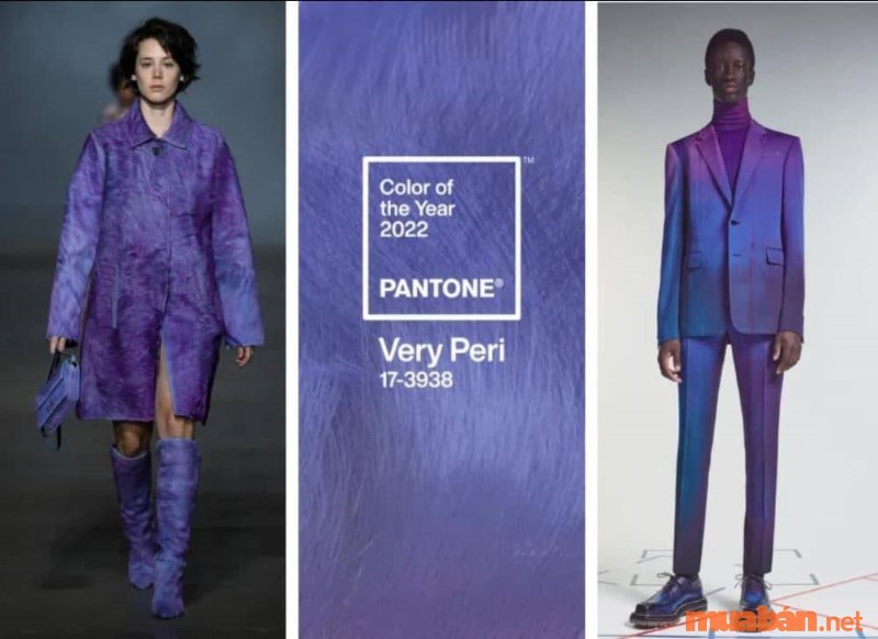 Màu tím năm 2023 là sự kết hợp giữa xanh dương và tím đậm tạo nên phong cách thời trang thời thượng.