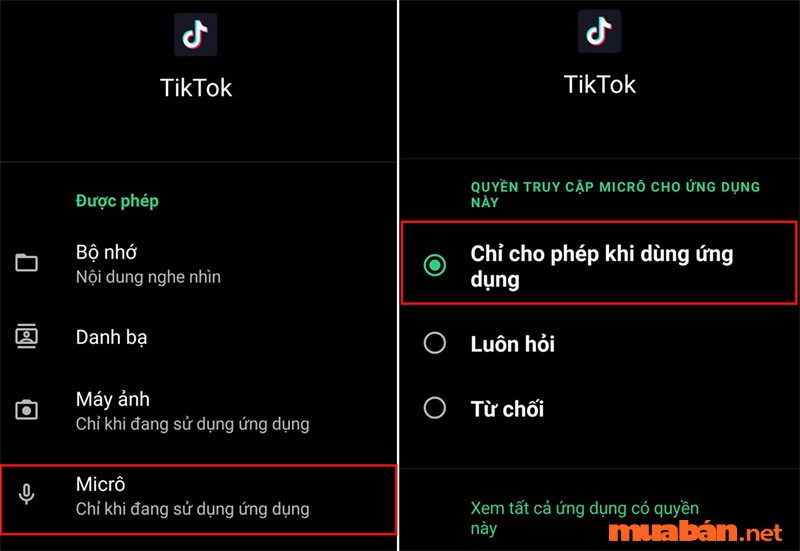 Duet trên TikTok là gì? Khắc phục lỗi Duet mất tiếng trên TikTok