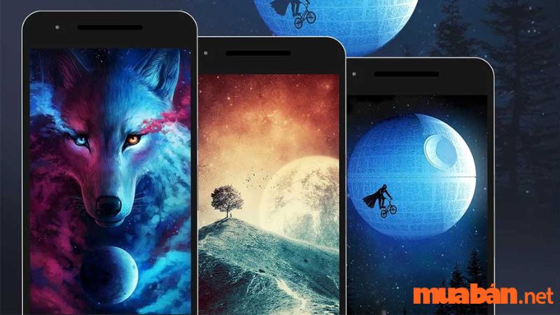 Đổi hình nền điện thoại Android mỗi ngày với Bing Wallpapers